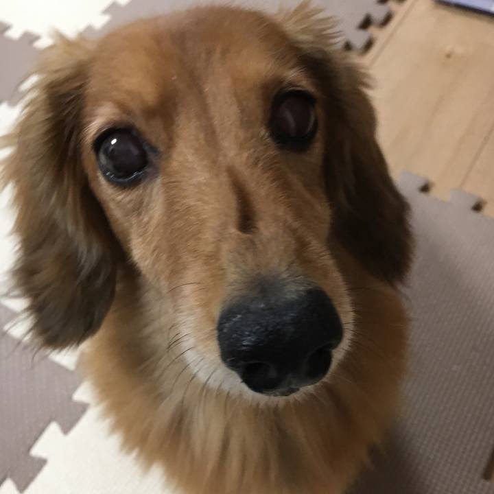 7ce98b3d 7d94 48f1 8021 7213d0c2aafb 1596891074146