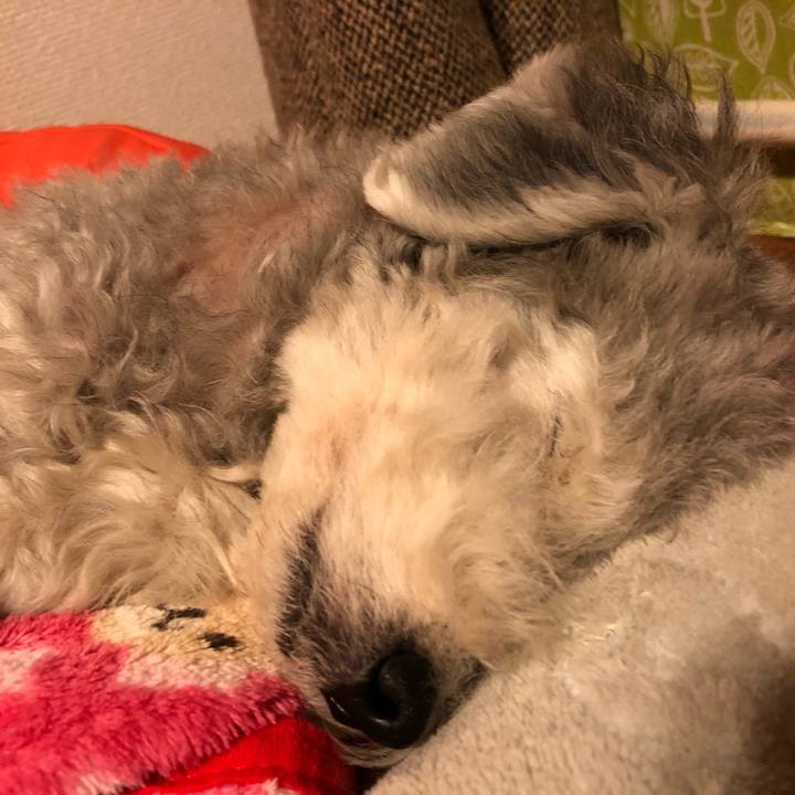 7ce99302 3ccb 4cd3 ae08 acb6b4848537 1545191995439