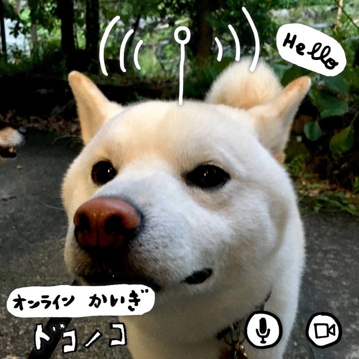 7ce9a67a eaa4 4190 8650 504469e93621 1590763247310