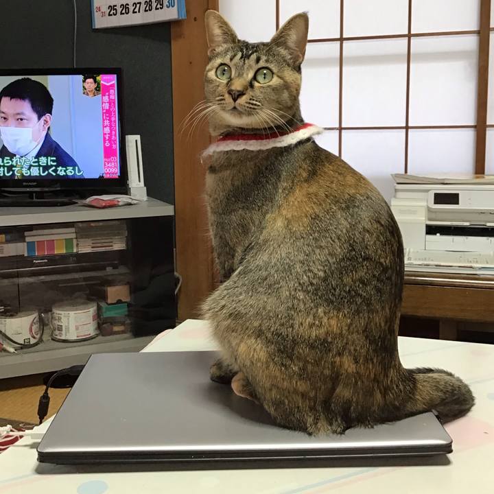 7cea0454 fecd 4557 83d0 b0d373645e9e 1610931328483