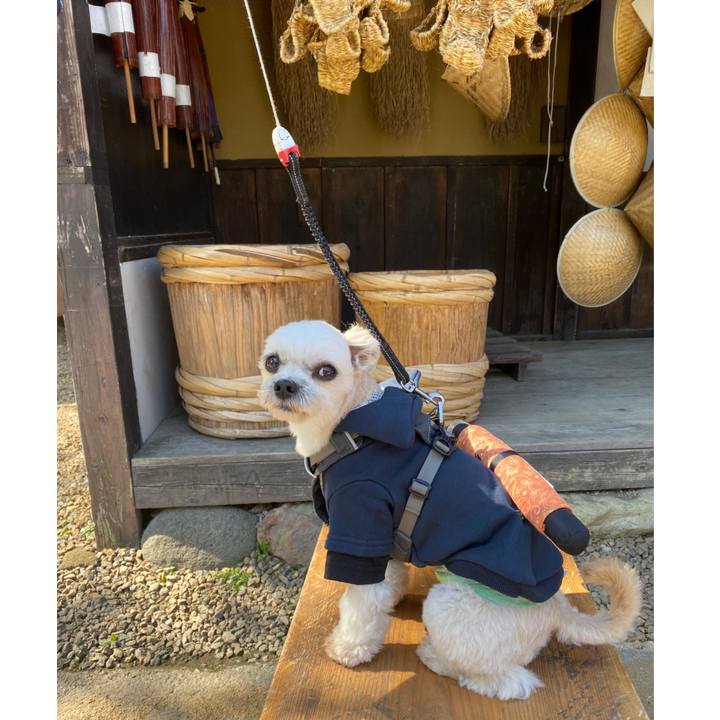 7cea06fb 6886 4ee2 9955 a5fea6621ef9 1571056016215