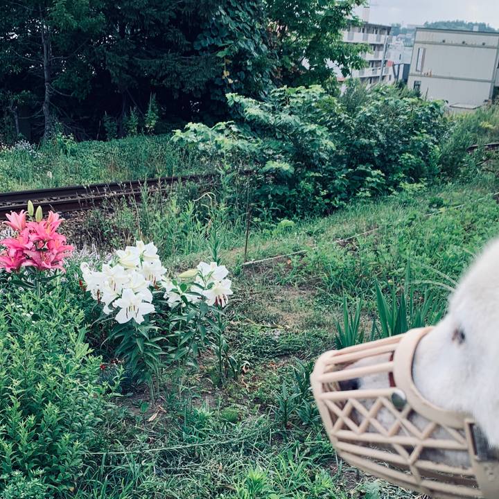 7cea1571 85e0 4e51 a14e 46c59d7ece08 1565138778436