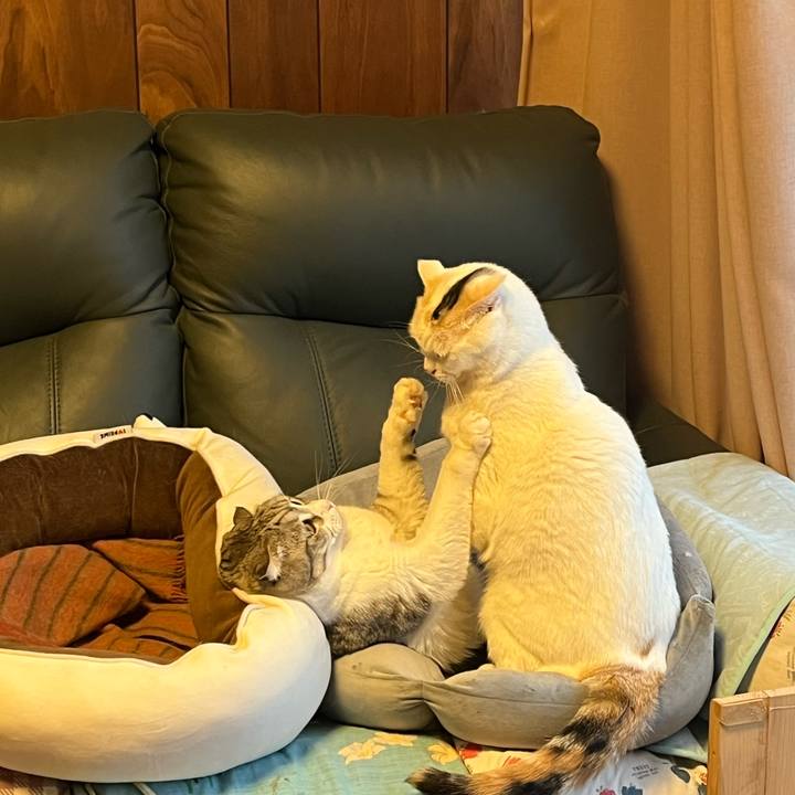 7cea444d 8c18 40c7 8e2c 05577ceae7c6 1773360618371