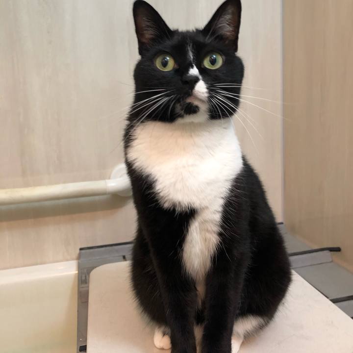 7cea462f 0f3a 4b6b a9cb 1e2748fff669 1563404304401