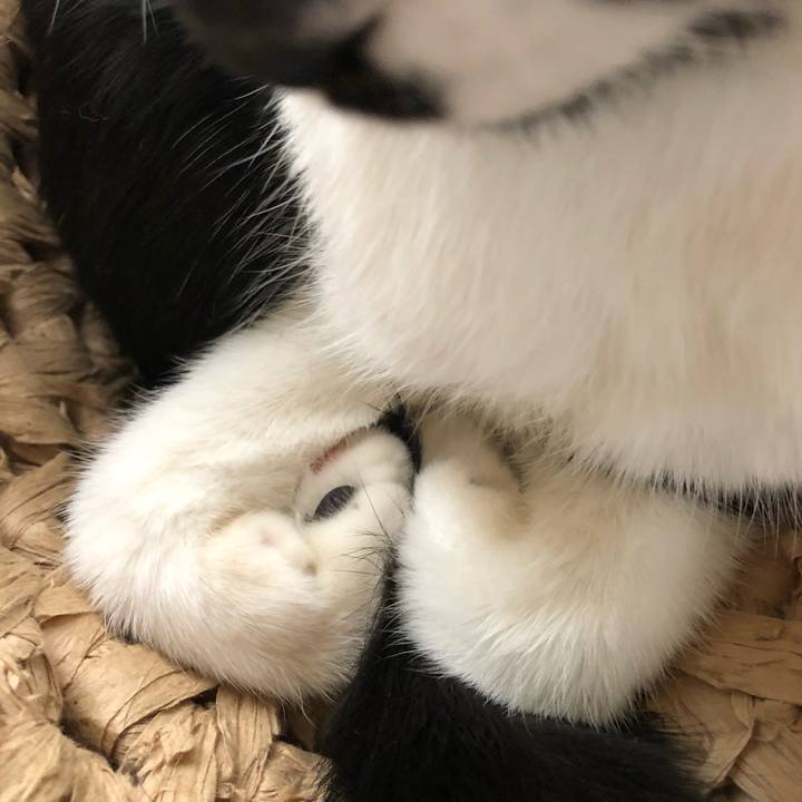 7cea4efe a0be 4493 9ce2 52ea9b6f5921 1541050778201