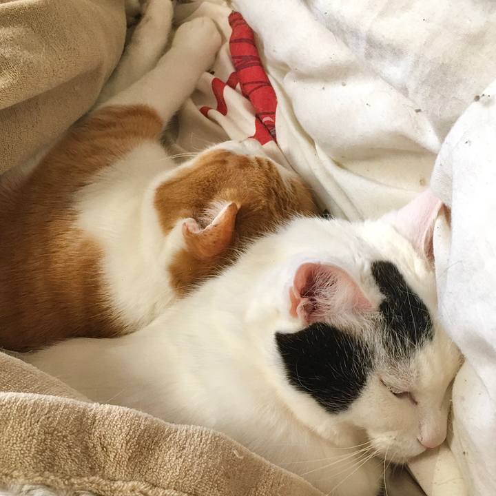 7cea55ca a868 49e8 bc9b f39a97b5ea1b 1578473774268