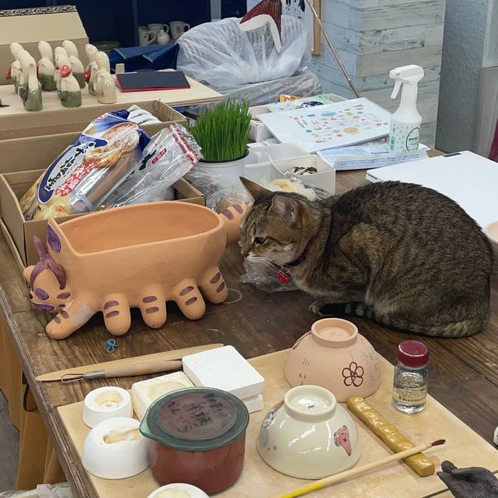 7ceaa78e 6132 424c 9fbf 68c1a13959b3 1734348421085