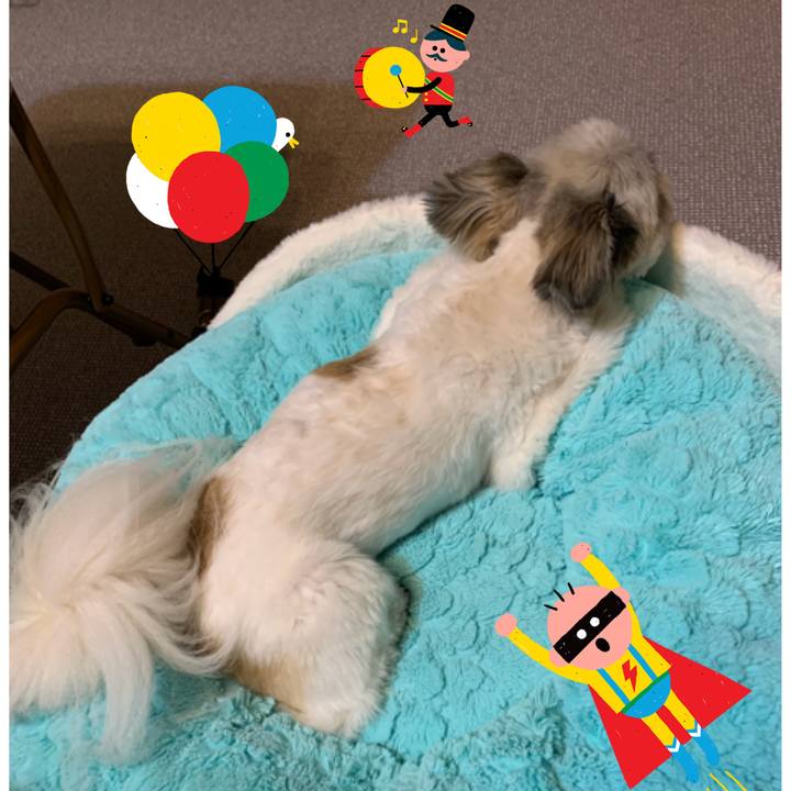 7ceabae8 5d19 435a 93b4 3d9a9cf05c7d 1627311708572