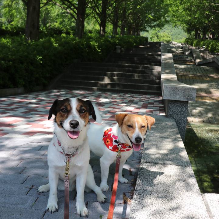 7cead778 06cd 4b2e bfdf 3835dd847dae 1527998884615