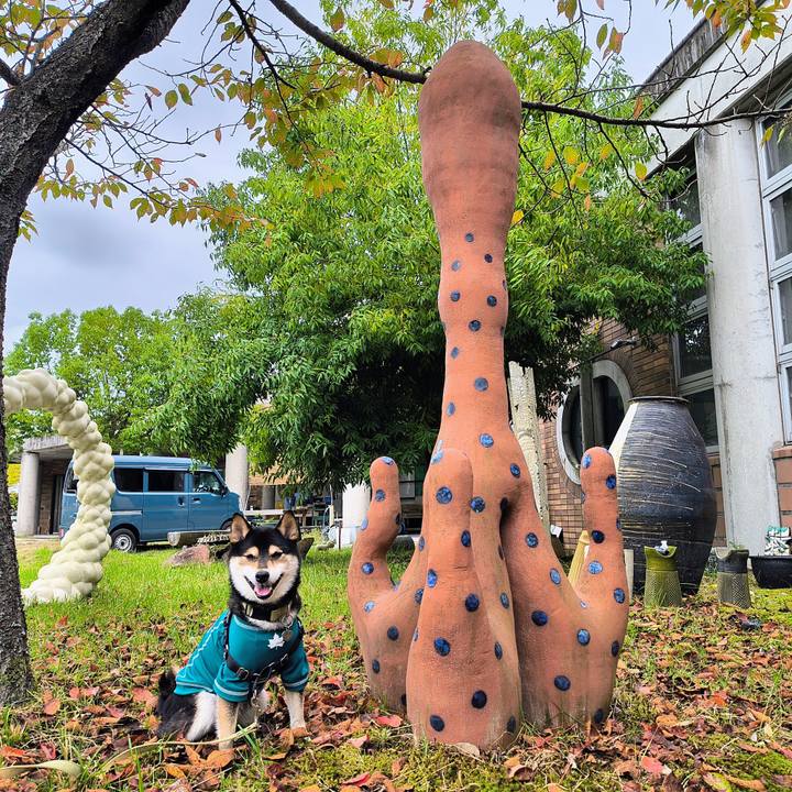 7ceae159 59a3 43d4 a7a4 82baed06b4c2 1760190537328