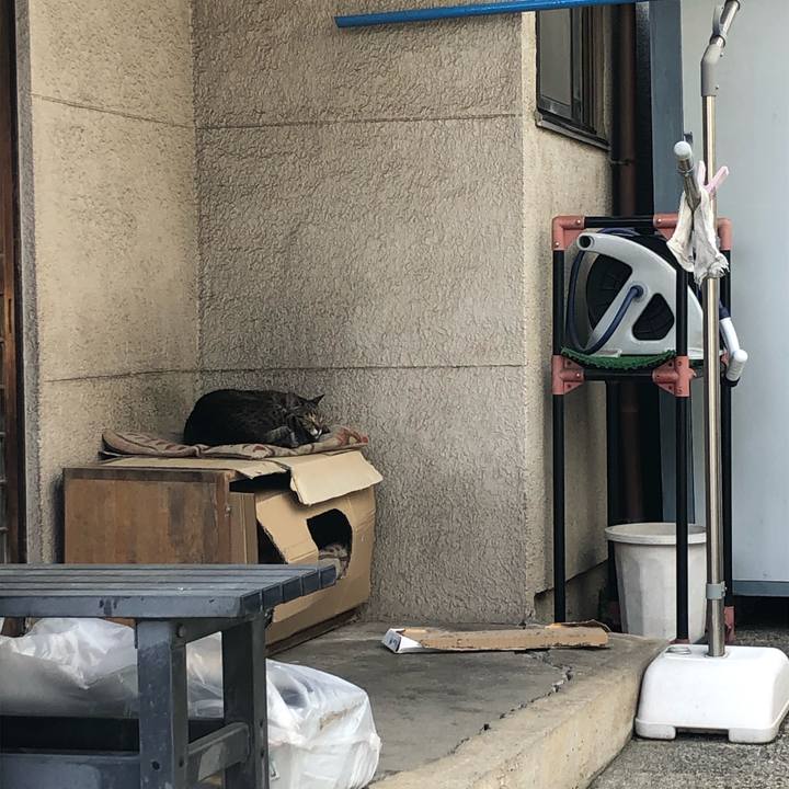 7ceafc85 03f2 4c1e 90d5 fdc3d5bed443 1623308160168