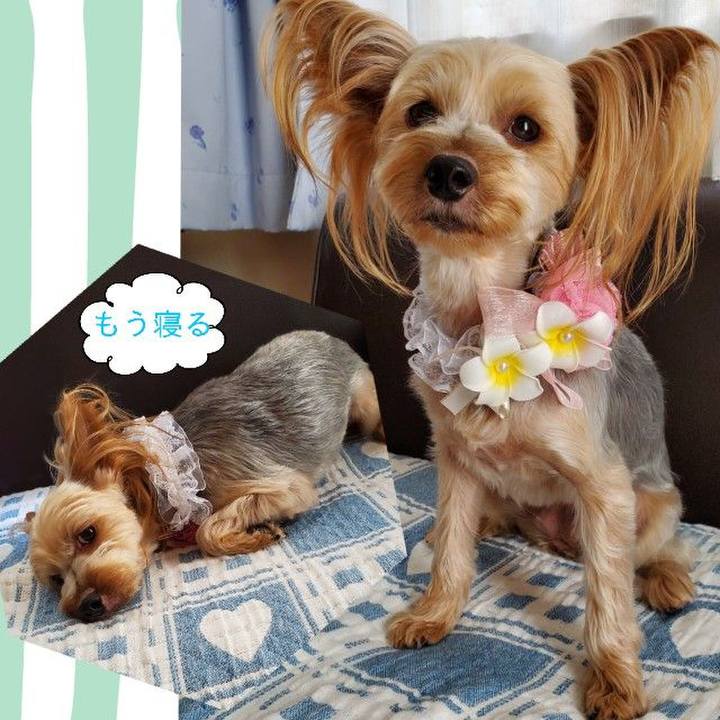 7ceb09e7 cde1 4f26 bd9c 9a544d420369 1563261398488