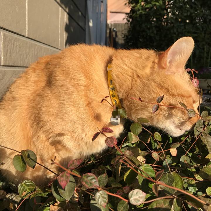 7ceb974c ef10 4d50 aef7 9f422b23d188 1516870009309