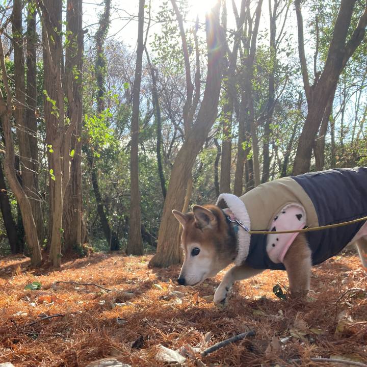 7cebc89e 92a6 426f 92b9 d2c372405bb6 1765612647751