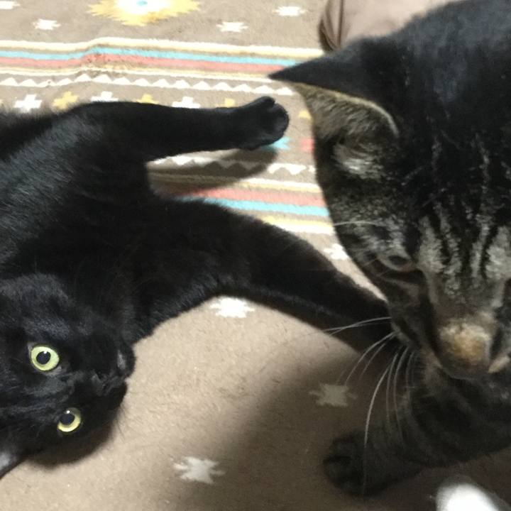 7cec6133 7fa1 4edd b0bf 61397607044d 1563761946223