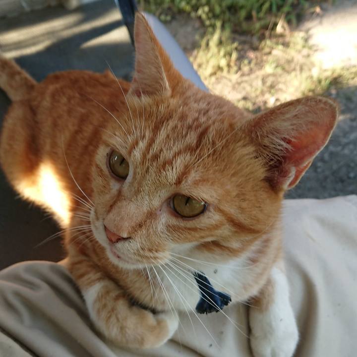 7cec7c05 db0d 4a80 b5c7 1a5ddcdfb35b 1567842036514