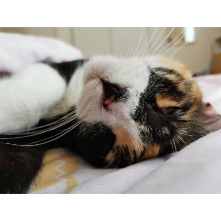 7cecae9c 061f 4fe8 ae8e d27bbaaa3b35 1654154912768