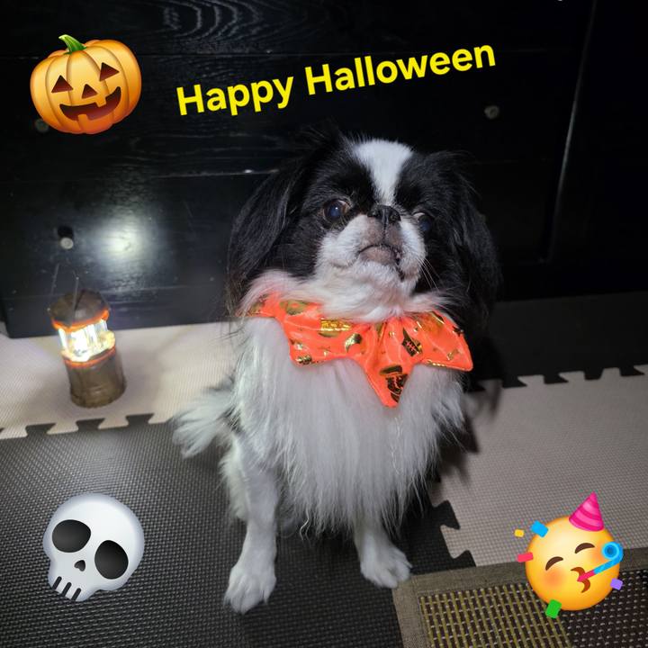 7cecbb61 3530 4a04 bf32 1a0f29409146 1761902475530