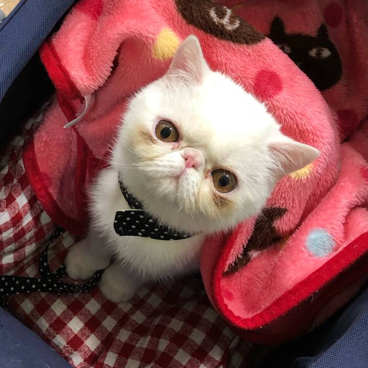 7ceccfa7 204a 47ed 9ff3 7034f336f348 1555932690131