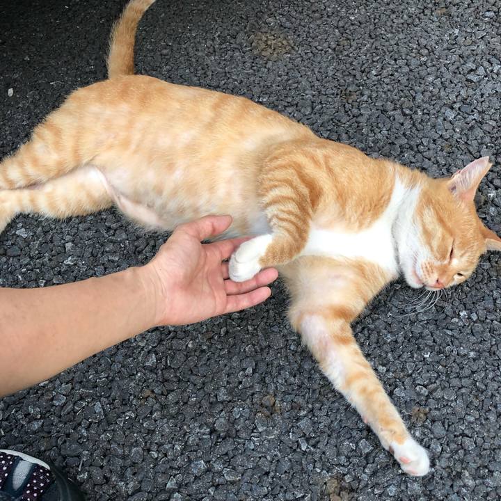 7cecfe34 7840 4d5f 8d86 de6a95f1291e 1565553842841