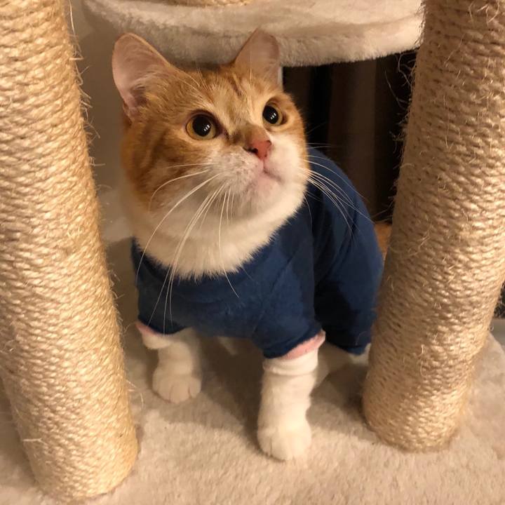 7ced05f1 6409 456f aad3 ffe19c0cda18 1563753436803