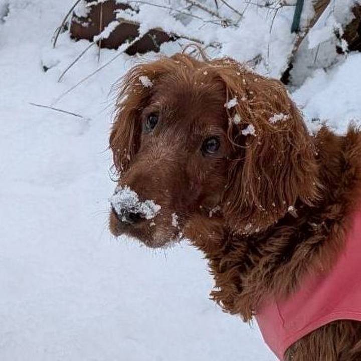 7ced118e cf33 4891 9856 682ddf07e867 1764924988508