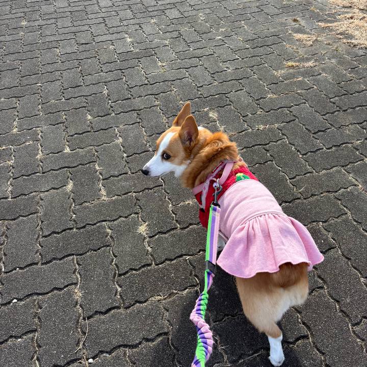 7ced3ae4 c57d 4101 8f9e be052b2c0ef4 1766469944390