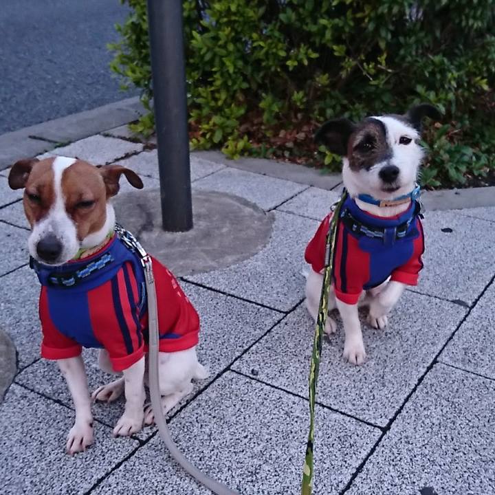 7ced478b 090f 498a 9c8a 95cde9215538 1551476099312