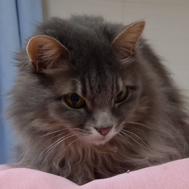 7ced57e8 5410 41b6 afb1 33366e807ebe 1647036281146