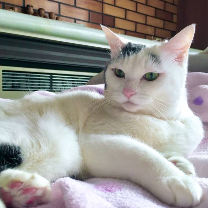 7ced7087 019e 4dc6 a944 1b012345f8f6 1613630725997