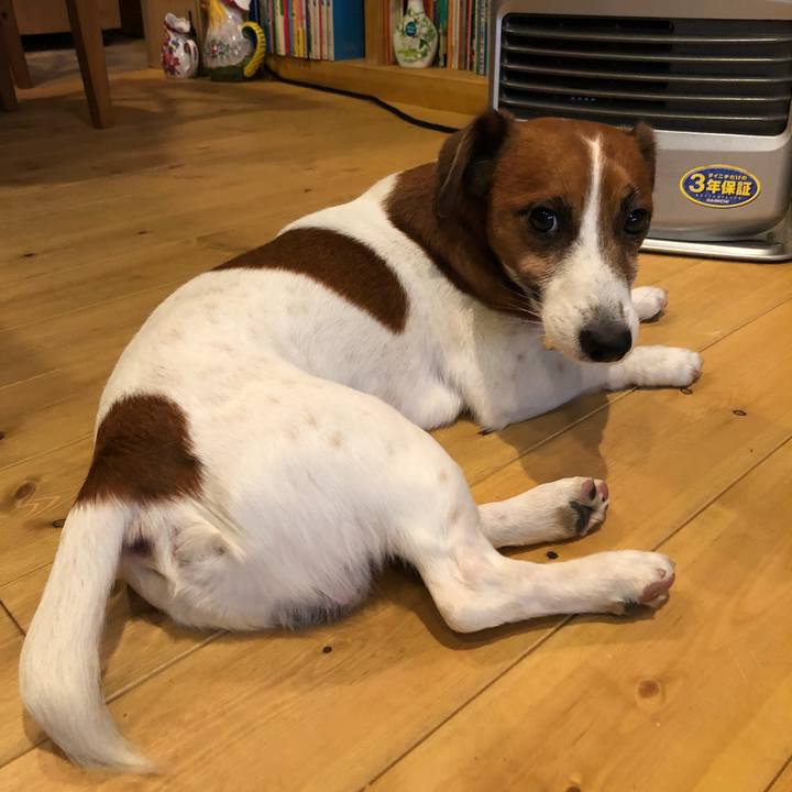 7ced795e af4d 4de9 8222 c0e7a977d78f 1513518887931