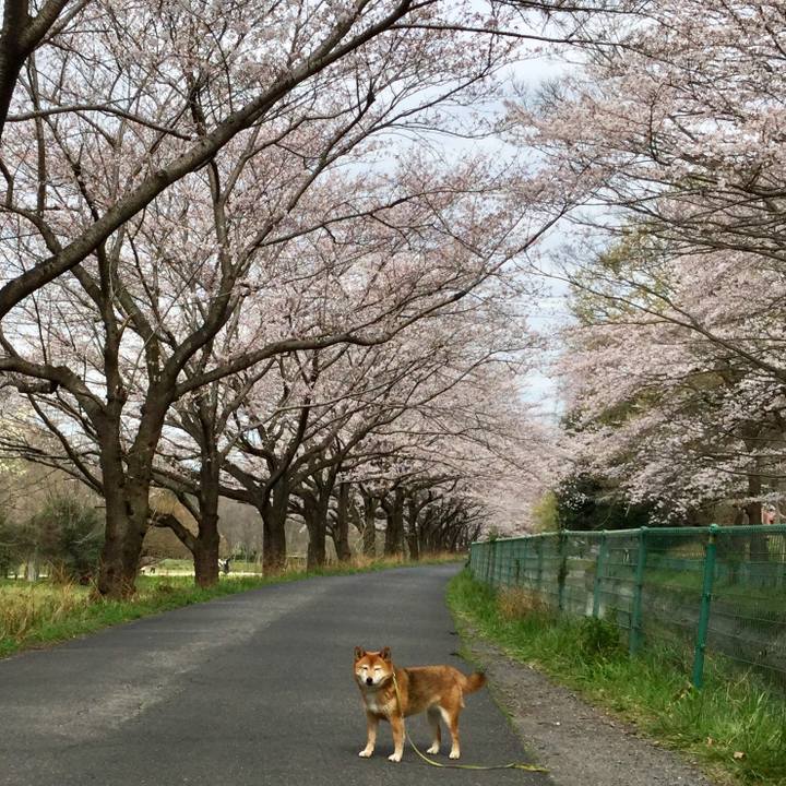 7ced911f e3f0 4780 ab9c ded870b7f3e0 1584937442026