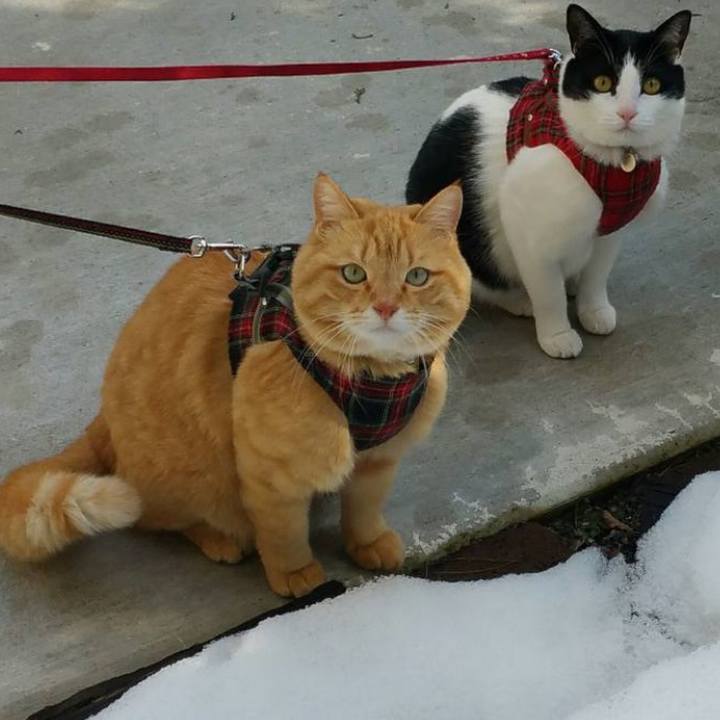 7cee0059 1be9 47bc ac9a 9afdda478802 1615507413278