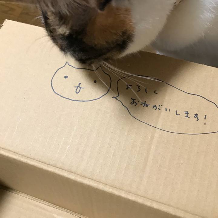 7cee1872 ec2d 42dc 8e56 53fa1f45532c 1518017272167