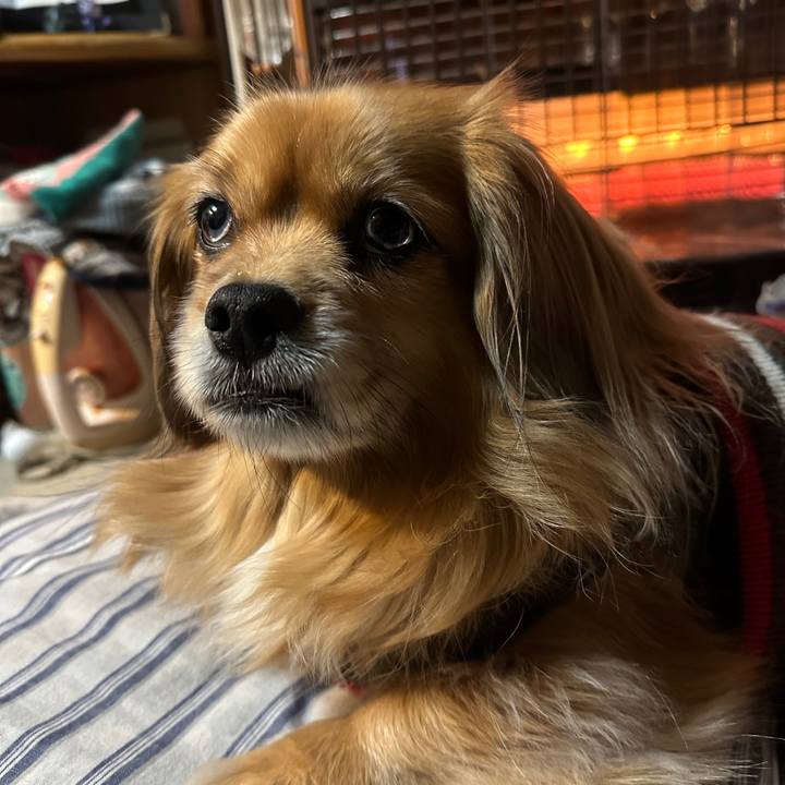 7cee328f 4f1a 475c befd 5f13bc93498a 1706563923052