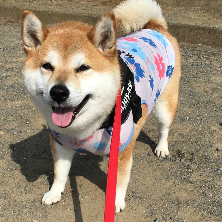 7cee4c9c 986a 42ac bb2b ce48e5850155 1591659388830