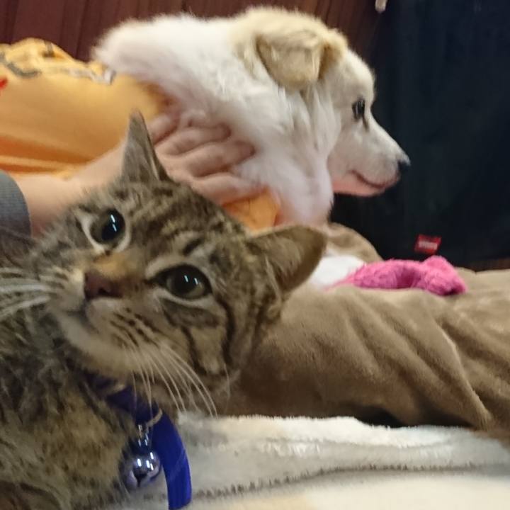 7cee99ed a468 4620 9a09 c6f9aba70551 1550067420544