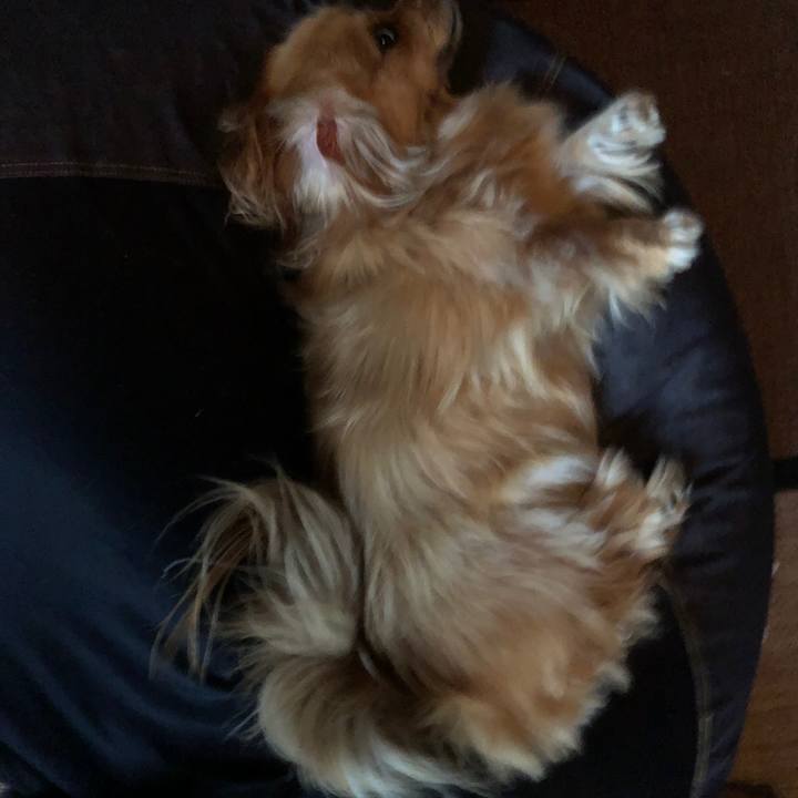 7ceec6cb 2ea3 4506 a8a7 64a424191911 1558389656924