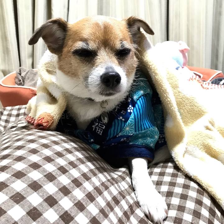 7ceed014 6ac3 4492 a692 36e985c66e04 1551007911970