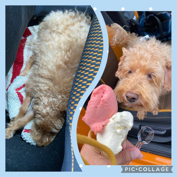 7cef0b70 30f5 40eb 8446 15d32dd59038 1692613805696