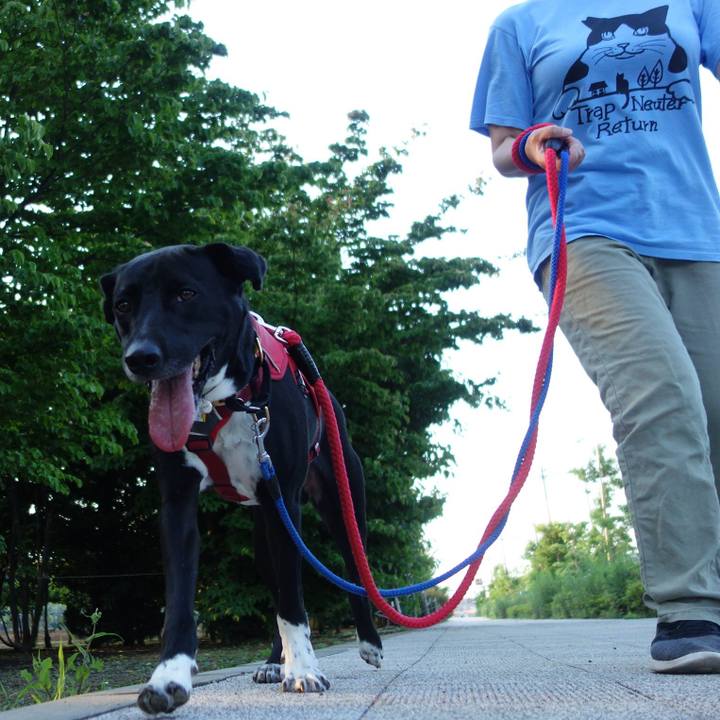 7cef1689 1dd6 4b65 babe e4d670746b44 1591629528167