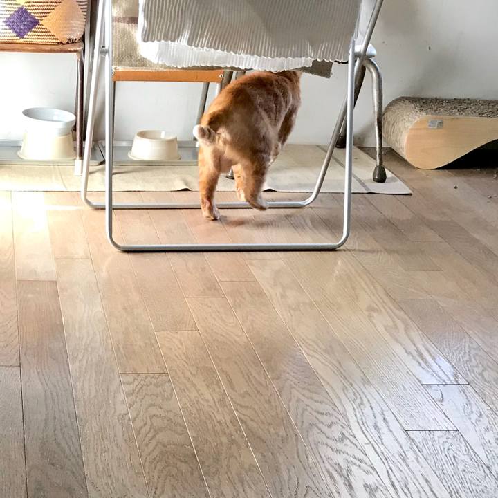 7cef2f9d 1ed8 448d b7de 9b1819469f31 1550486295920