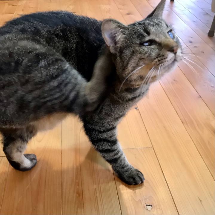 7cef5625 6d84 43b4 8f6b 10b709cba663 1615857998420