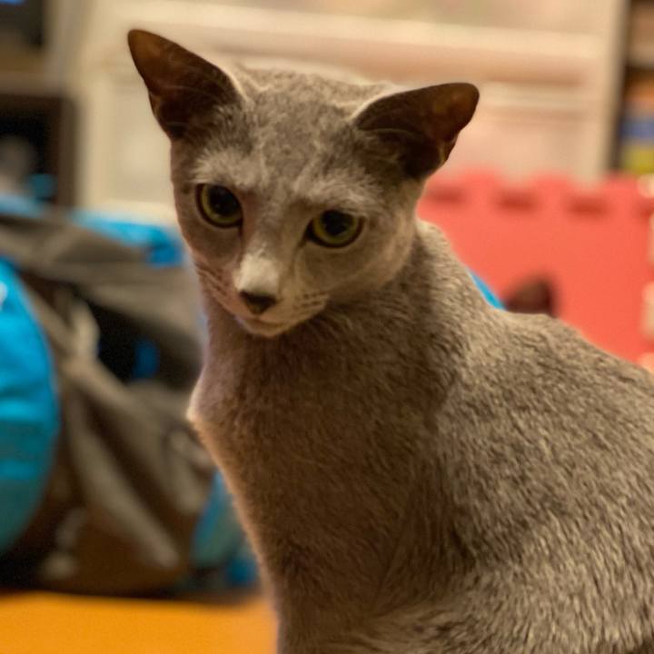 7cefc995 cd5f 4341 bc52 61cf4bc3d60d 1610363943242