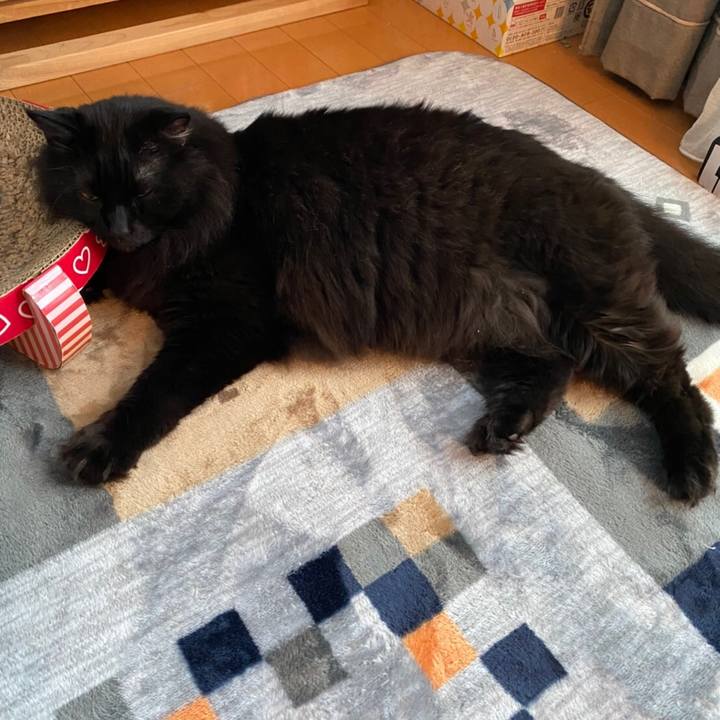 7cf06f16 f34b 4ff8 a98f 84da000b8b9c 1580265569583