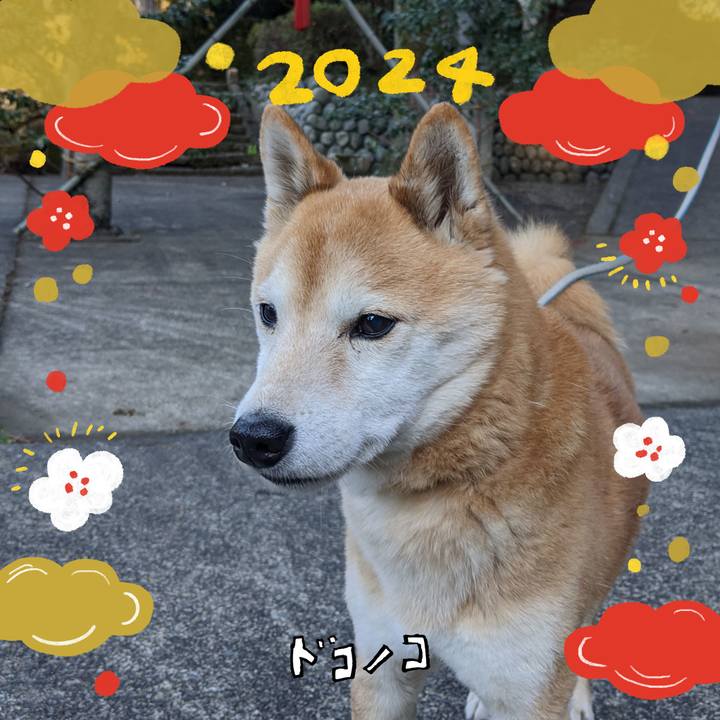 7cf07160 9da7 4fa3 b376 2fe328f9b2fa 1704092021954