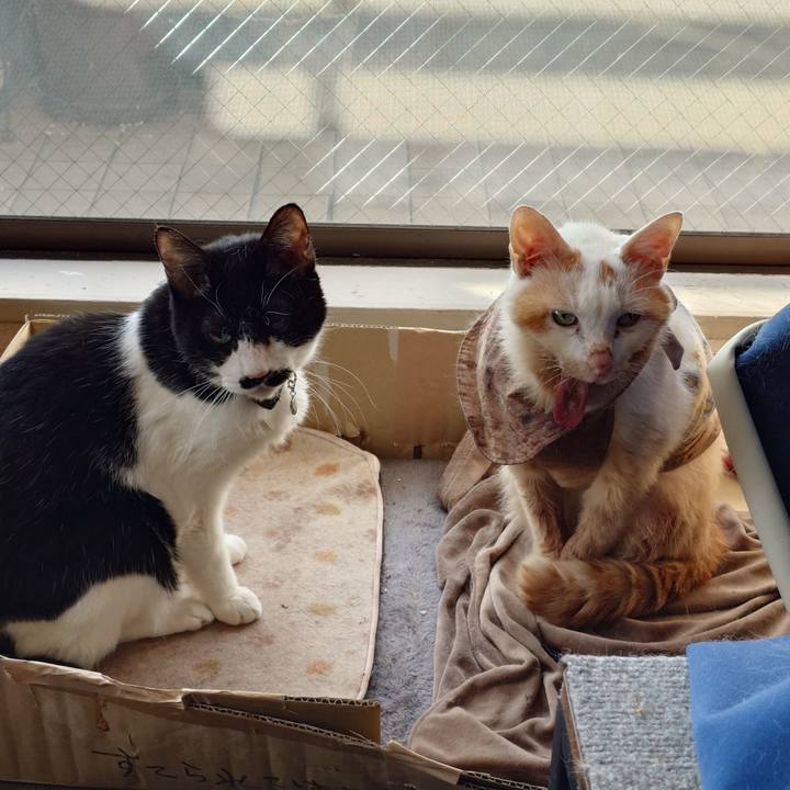 7cf09c80 28dc 4c91 bf15 79ece10565d6 1764114174080