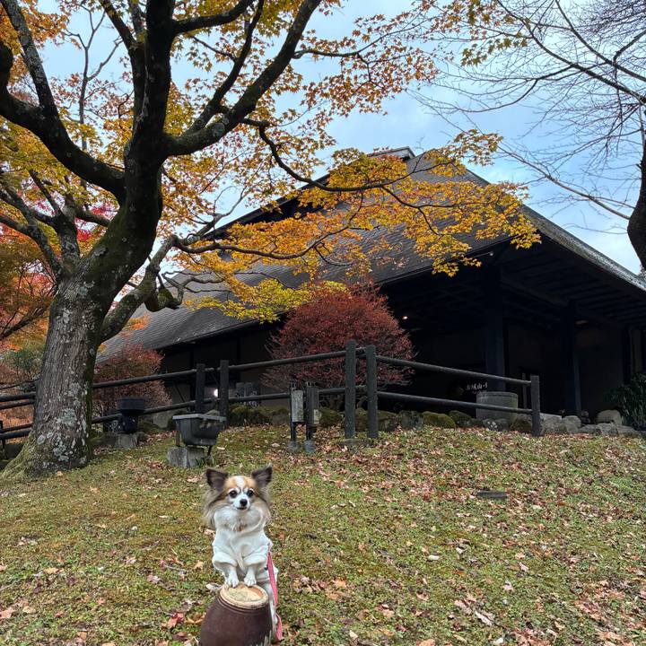 7cf0a4b5 4295 4620 a408 807b377de302 1764074445086