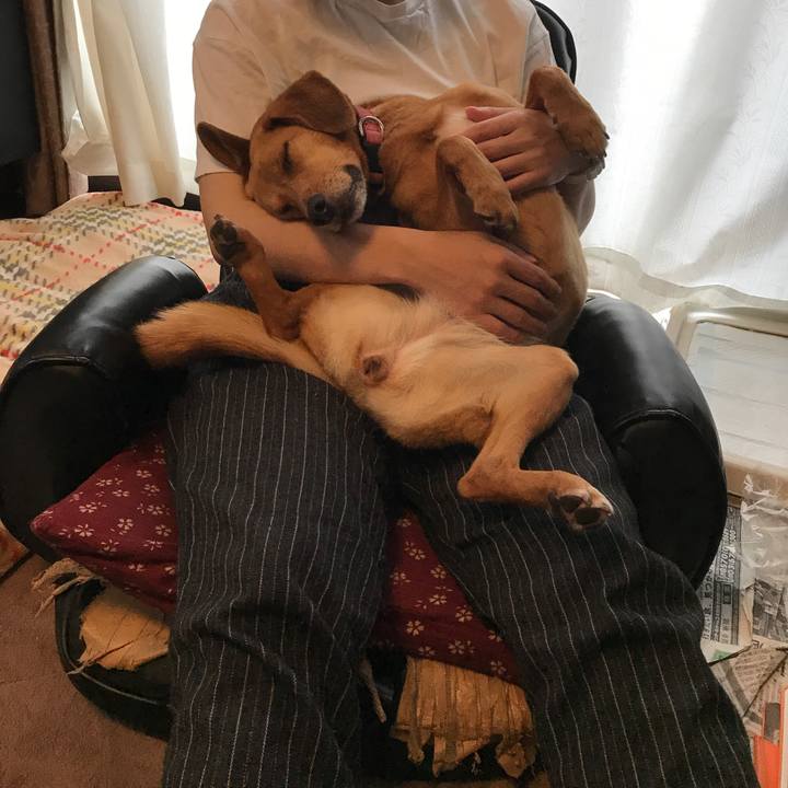 7cf0a849 57a5 4787 91cd 0cc5e752a194 1528035517354