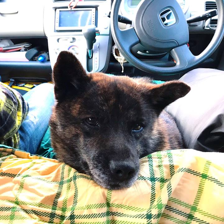 7cf0c3cb 353c 4683 8cc5 1179b4f15ff7 1556870077645